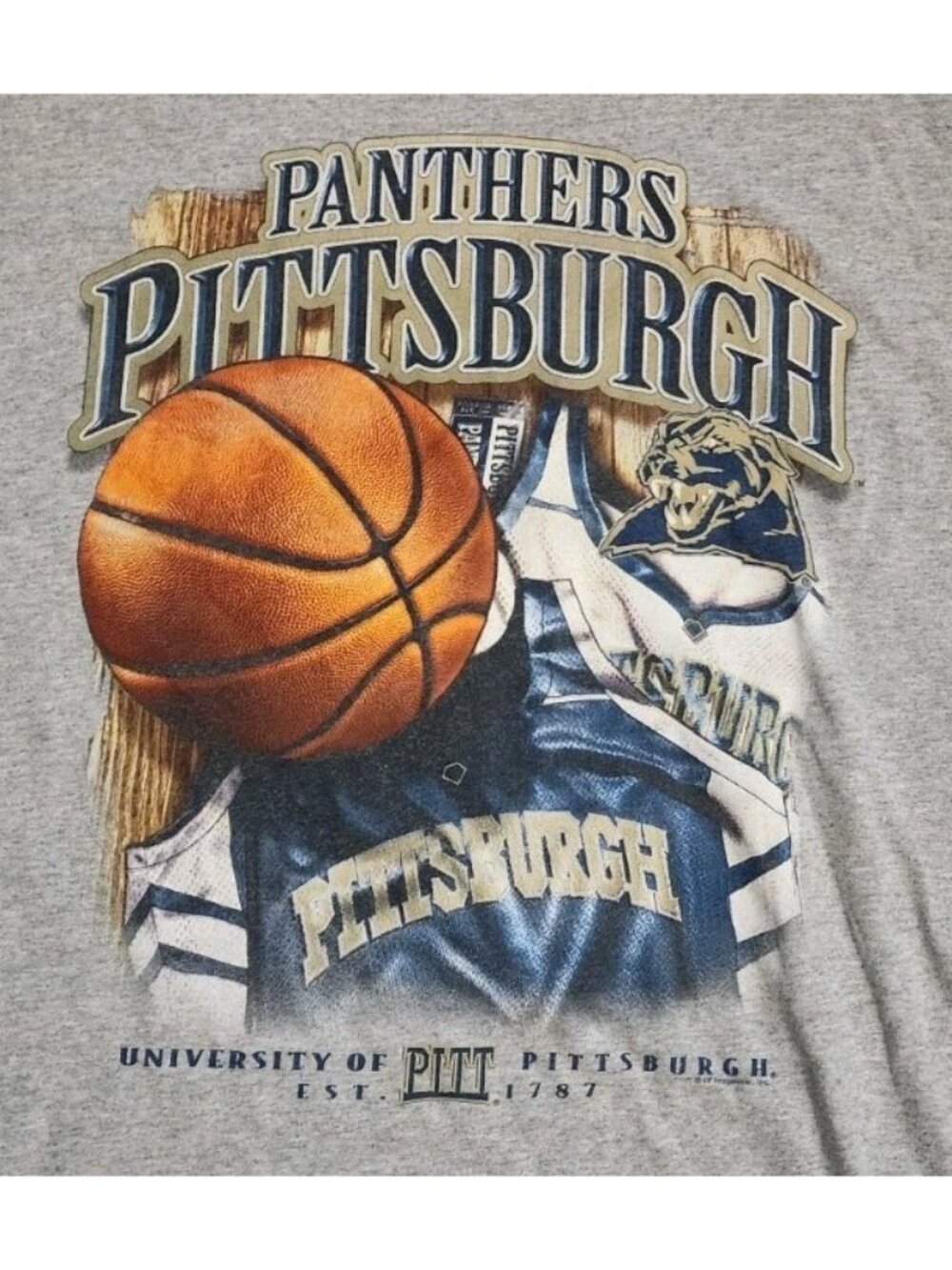 Vintage University of Pittsburgh PITT Panthers TShirt 90s Y2K Graphic Logo 2XL